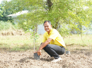 กิจกรรม ปลูกต้นไม้ 1 คน 1 ต้น เพื่อคนสุโขทัย พารามิเตอร์รูปภาพ 10